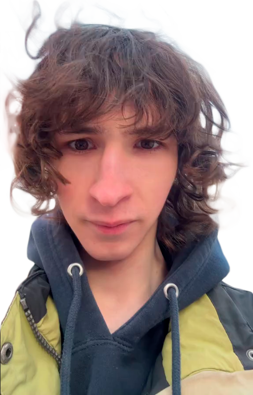 подозрительный бебрик